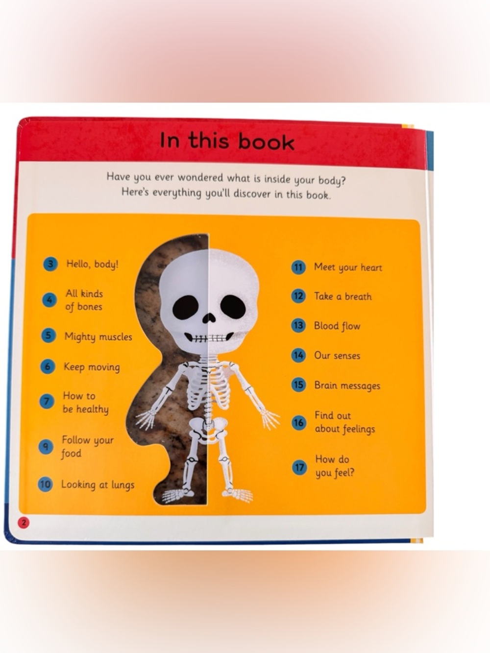 My First Body Book - Picture 2 of 6